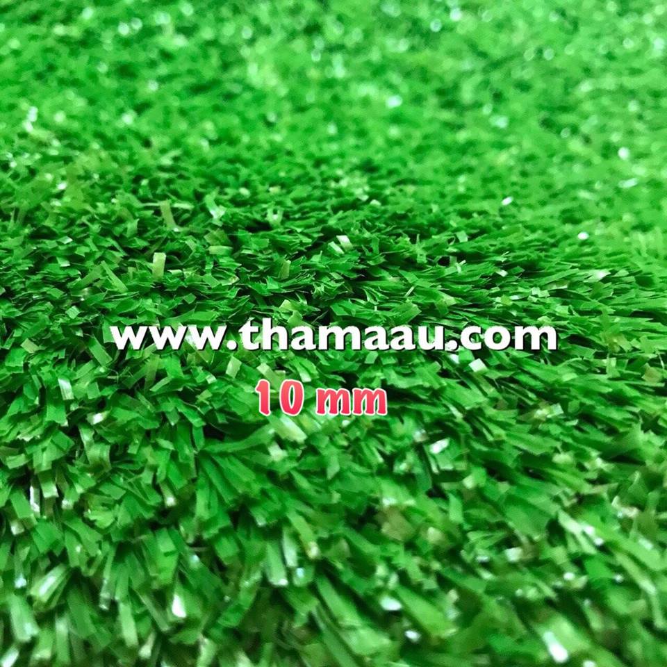 Cỏ Mỏng 10 mm